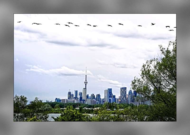 CN and the Skyline- 01 CN and the Skyline- 01